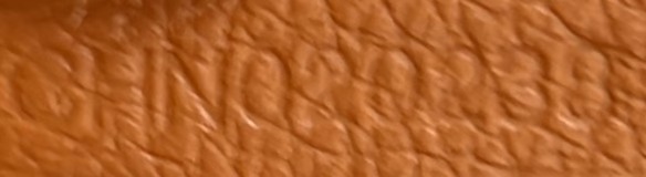 Saint Louis Tote Coated Canvas PM - Deep Luxury