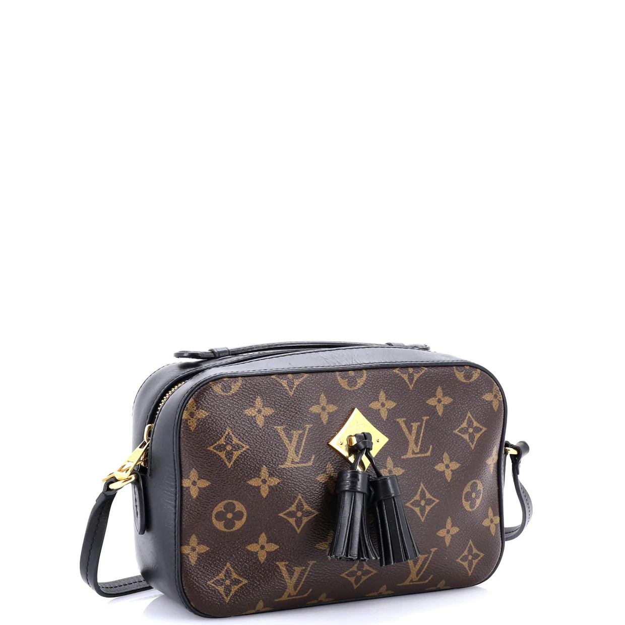 Saintonge Handbag Monogram Canvas with Leather - Deep Luxury