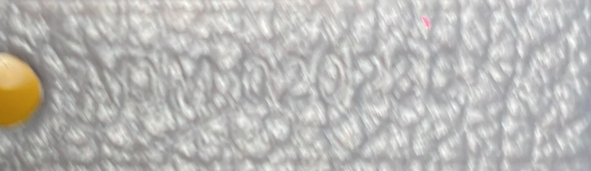 Saint Louis Tote Coated Canvas PM - Deep Luxury