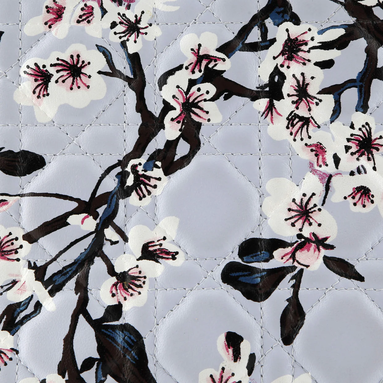 Lady Dior Bag Cannage Quilt Floral Printed Lambskin Medium - Deep Luxury