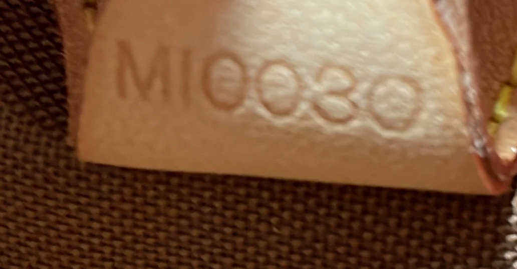 Ellipse Bag Monogram Canvas PM - Deep Luxury