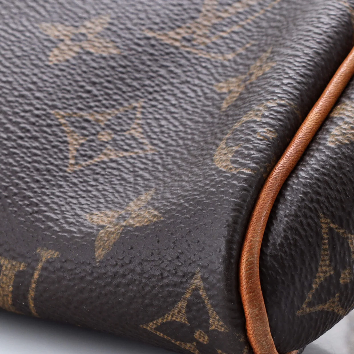 Eva Handbag Monogram Canvas - Deep Luxury