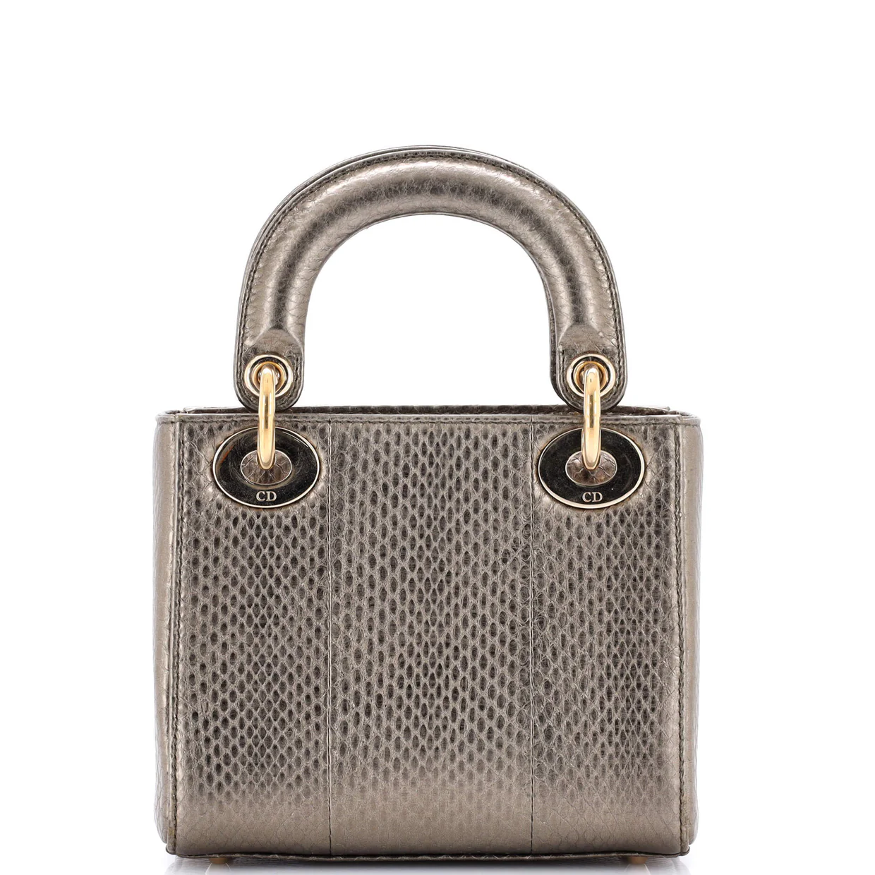 Lady Dior Chain Bag Python Mini - Deep Luxury