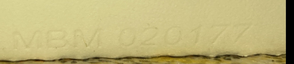 Saigon Top Handle Bag Coated Canvas with Leather PM - Deep Luxury