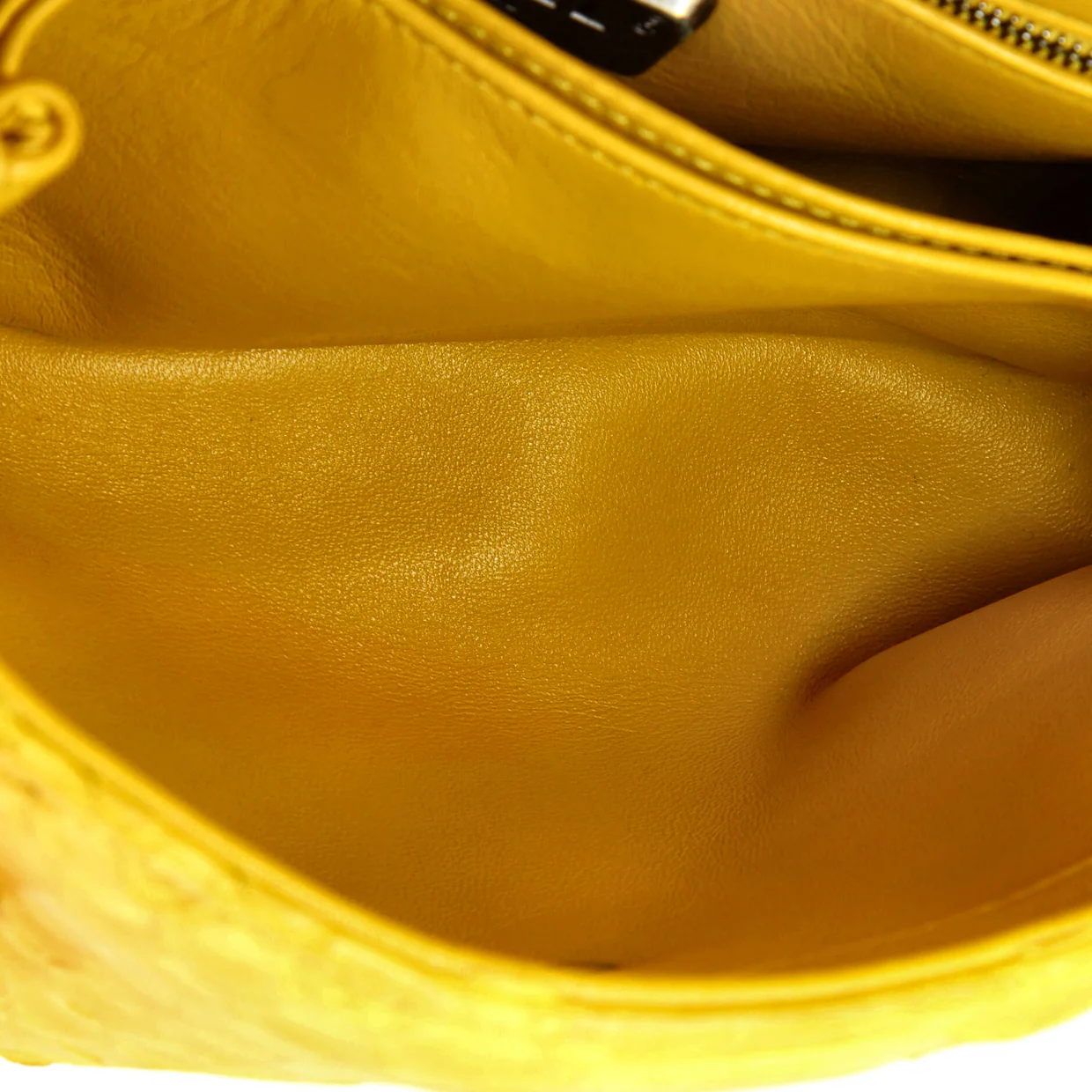 Coco Top Handle Bag Python Mini - Deep Luxury