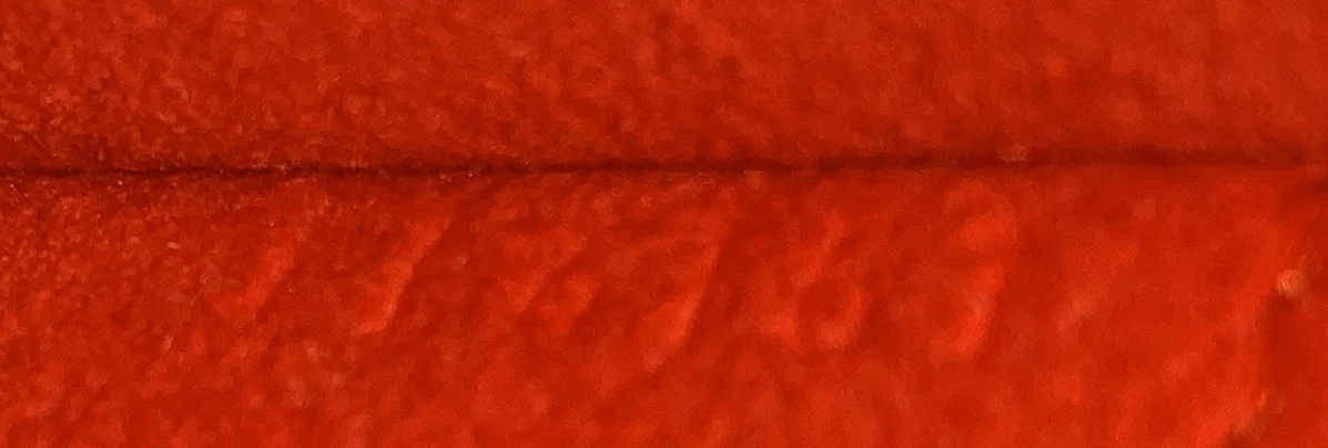 Alma Handbag Epi Leather PM - Deep Luxury