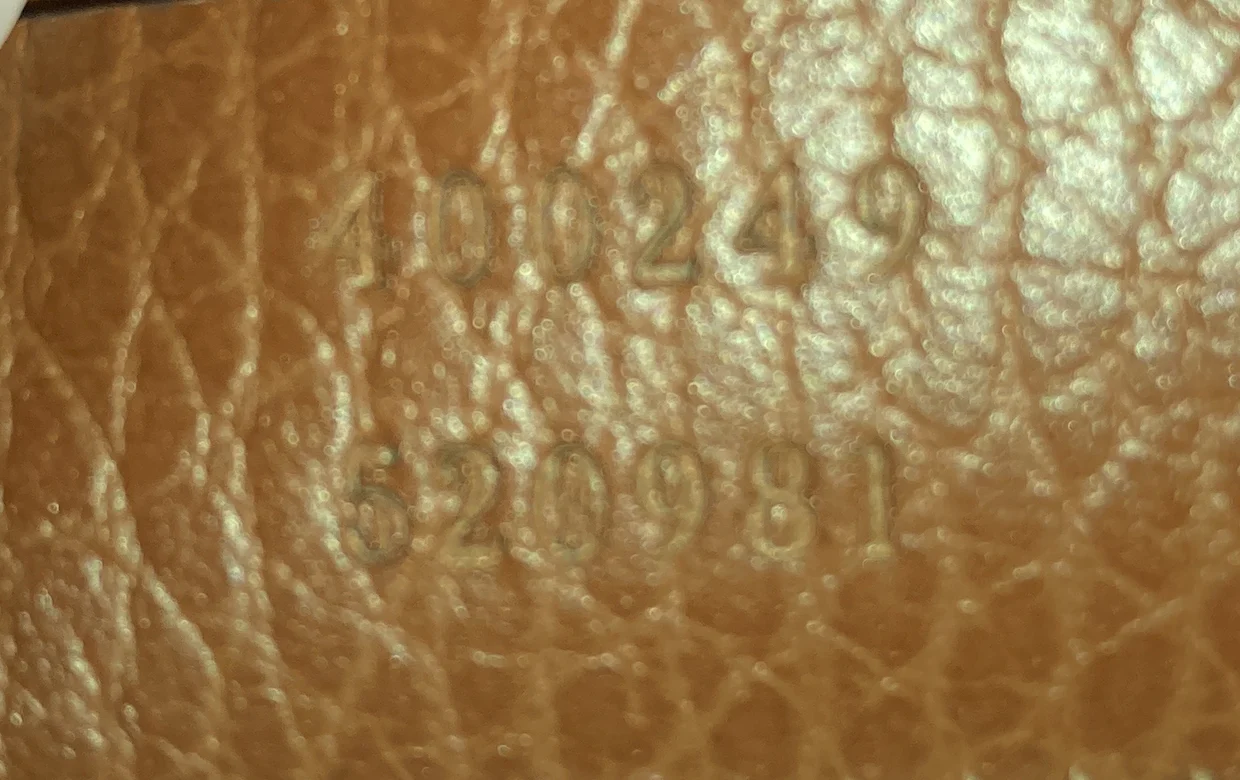 Dionysus Bag GG Denim Small - Deep Luxury