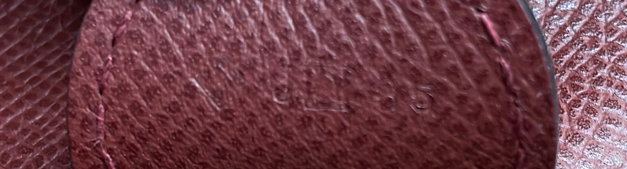 Evelyne Bag Gen III Epsom GM - Deep Luxury