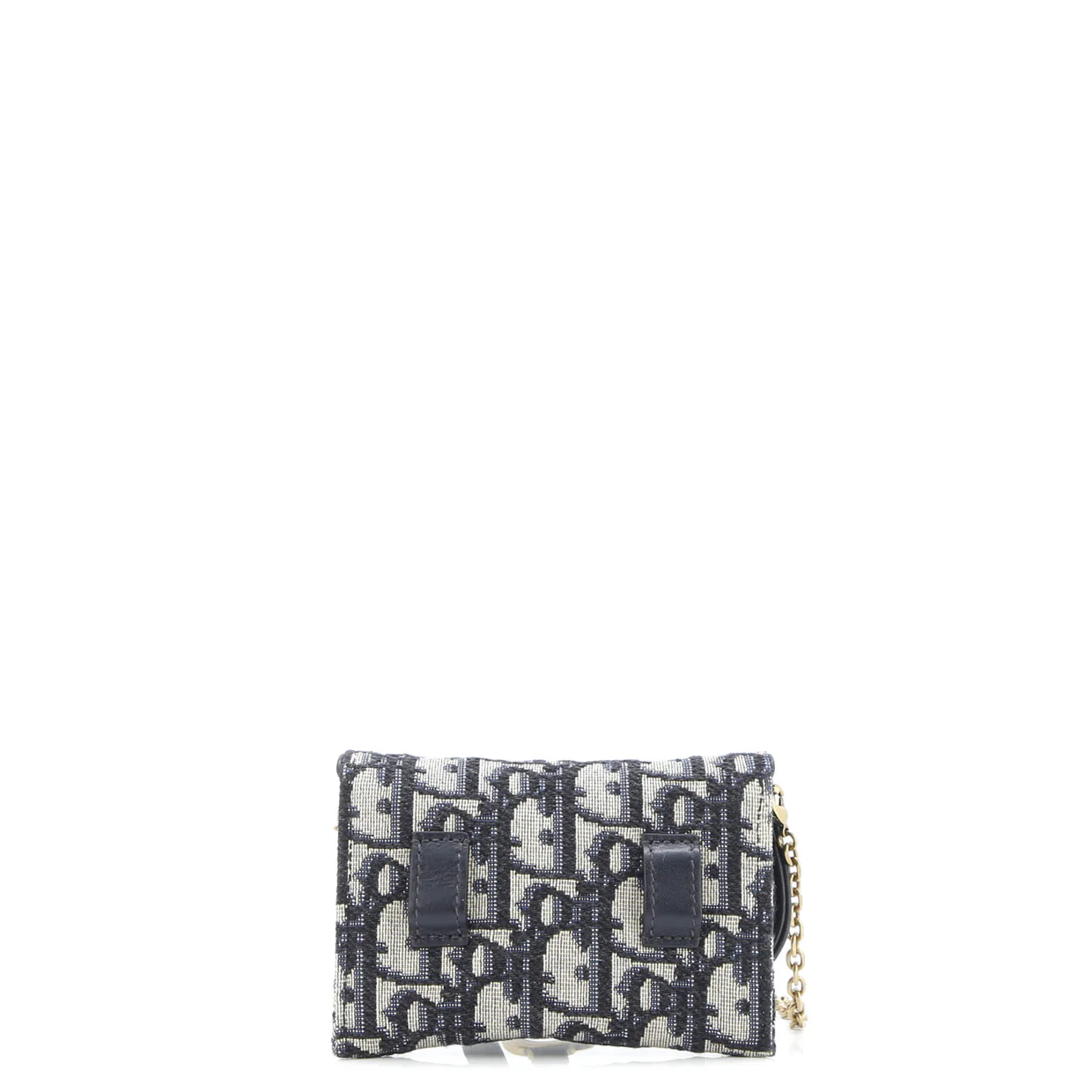 Saddle Nano Pouch Oblique Canvas - Deep Luxury