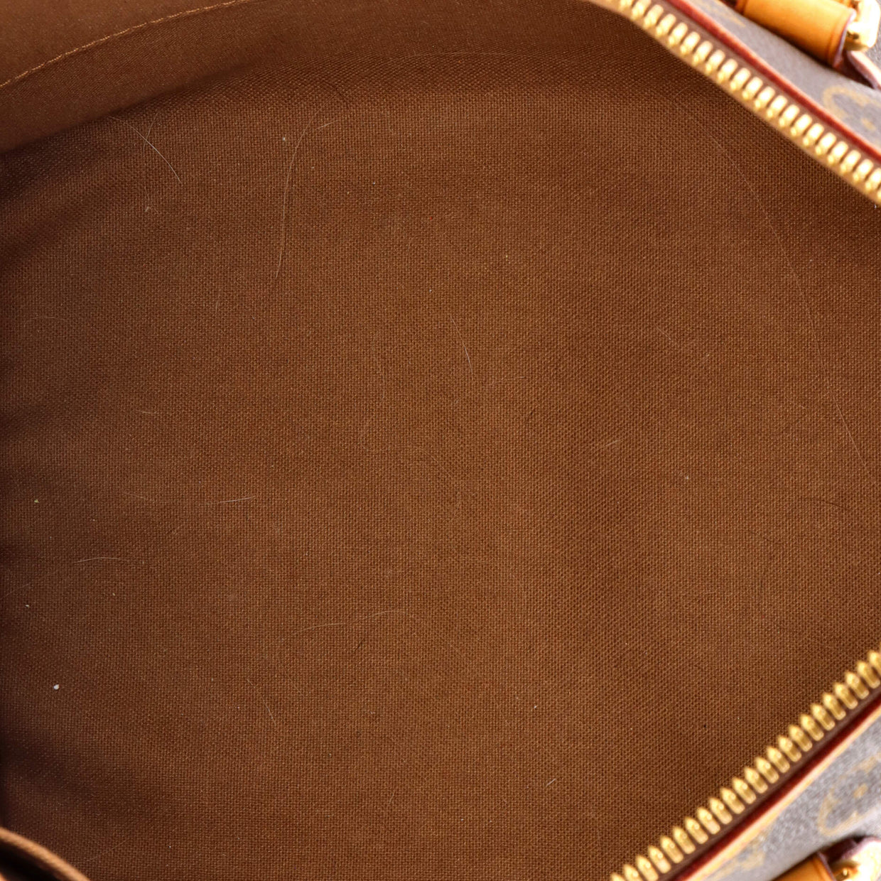 Palermo Handbag Monogram Canvas PM - Deep Luxury