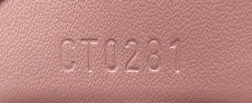 Easy Pouch on Strap Epi Leather - Deep Luxury