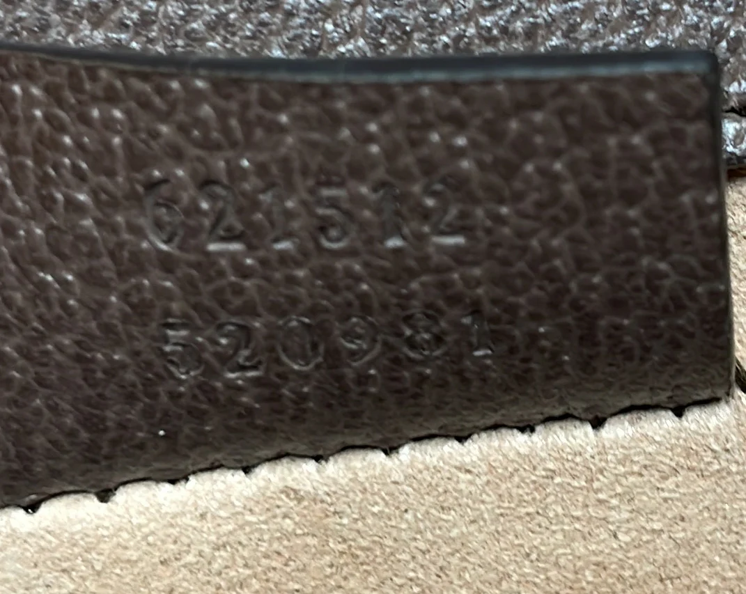 Dionysus Top Handle Chain Bag GG Coated Canvas Small - Deep Luxury