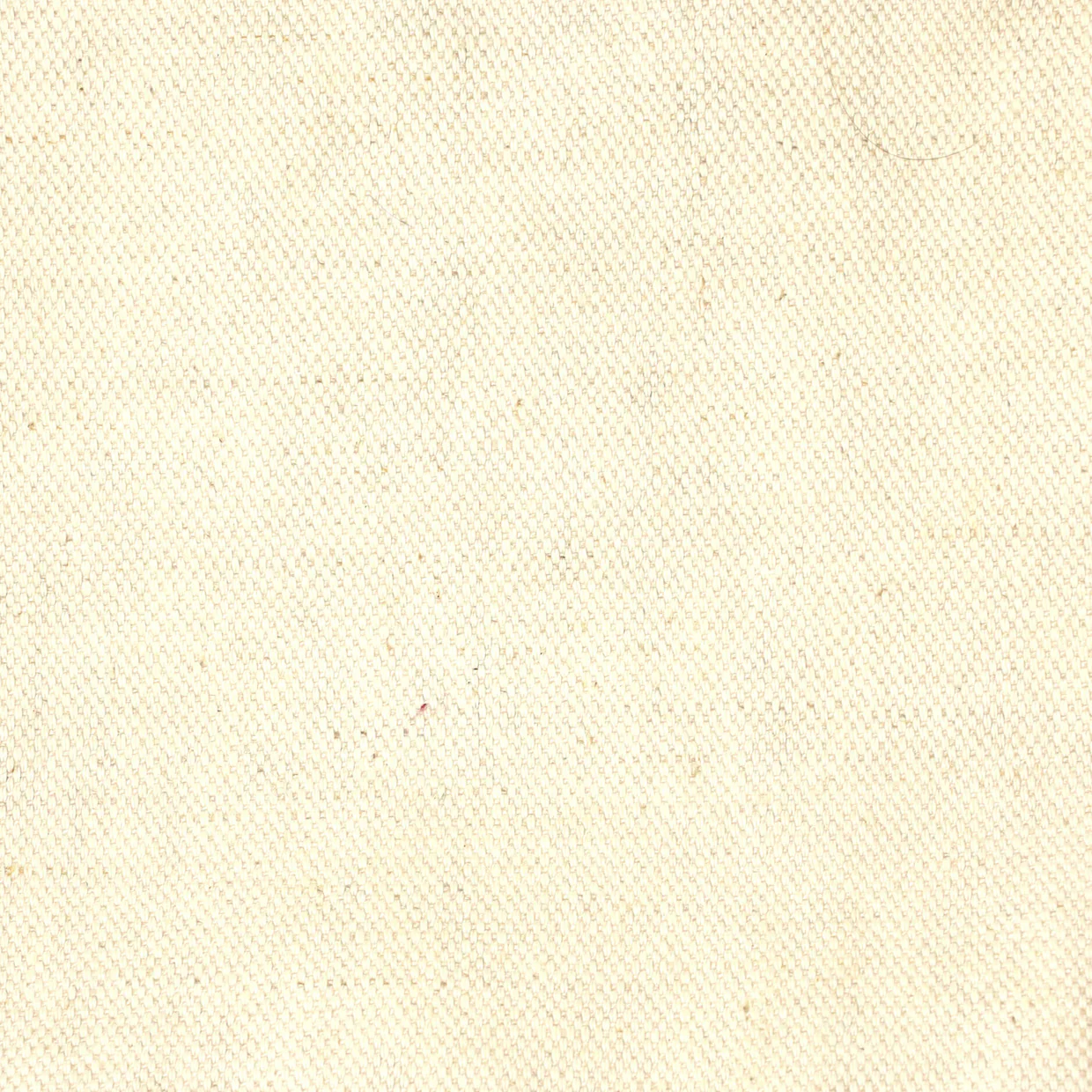 Saint Louis Tote Coated Canvas PM - Deep Luxury