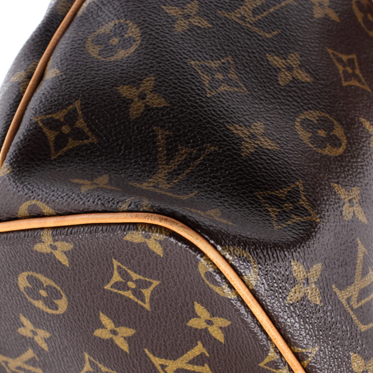 Palermo Handbag Monogram Canvas PM - Deep Luxury