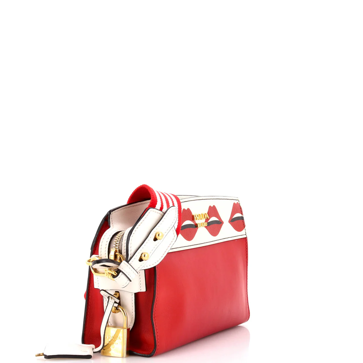 Esplanade Crossbody Bag Printed Saffiano and City Calf Small - Deep Luxury