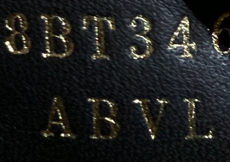 Moonlight Flap Bag Leather with Plexiglass Detail - Deep Luxury