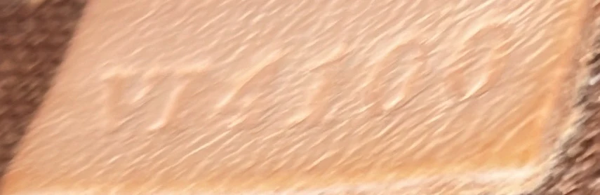 Palermo Handbag Monogram Canvas PM - Deep Luxury