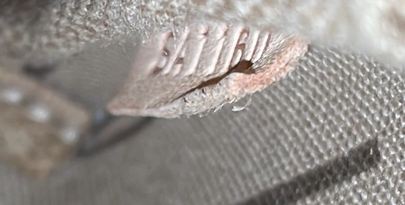 Delightful Pochette Monogram Canvas Mini - Deep Luxury