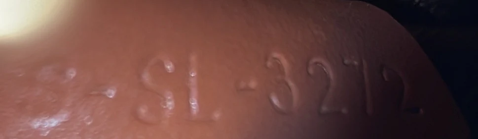 Triomphe Oval Crossbody Bag Triomphe Coated Canvas and Leather - Deep Luxury