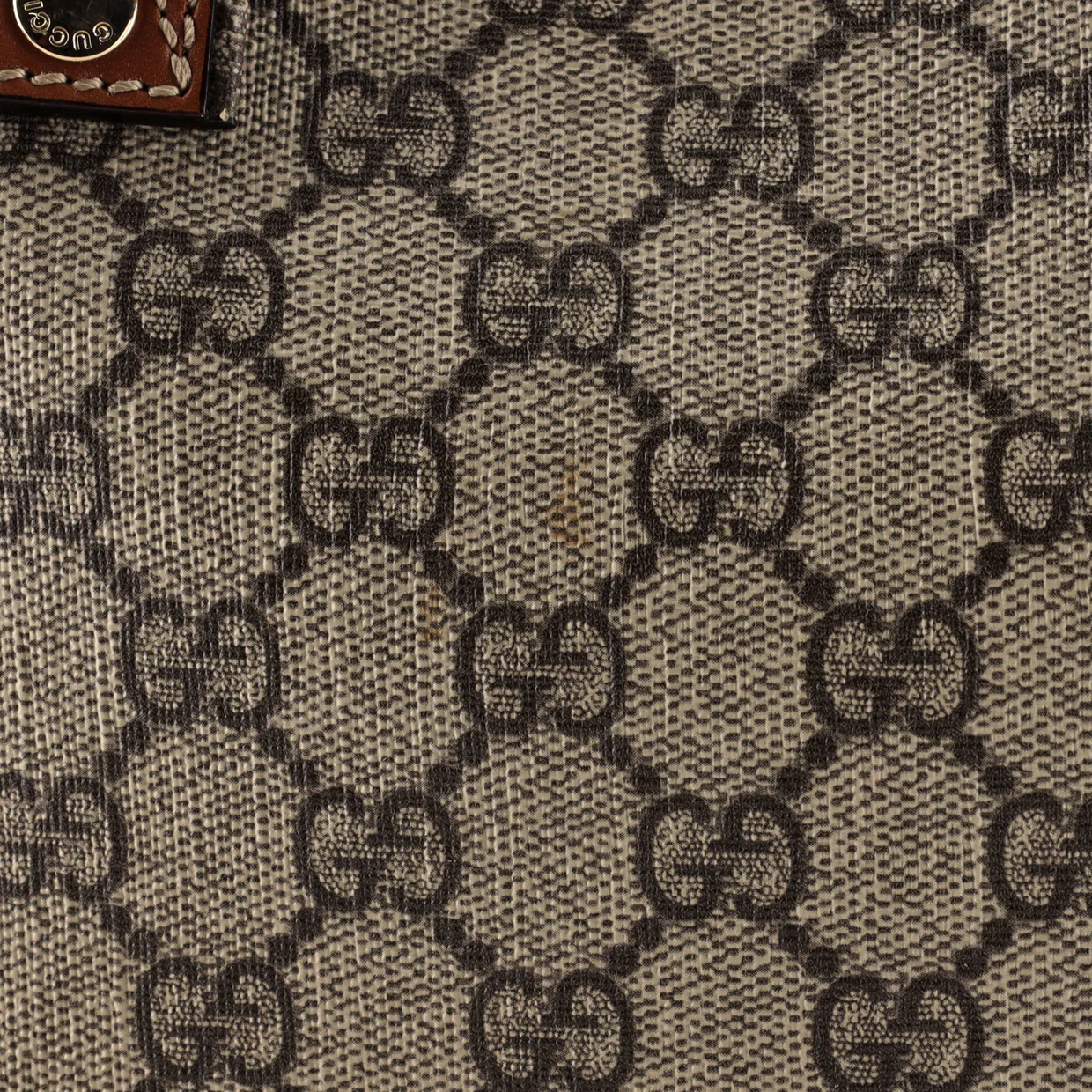 Web Loop Tote GG Coated Canvas Medium - Deep Luxury