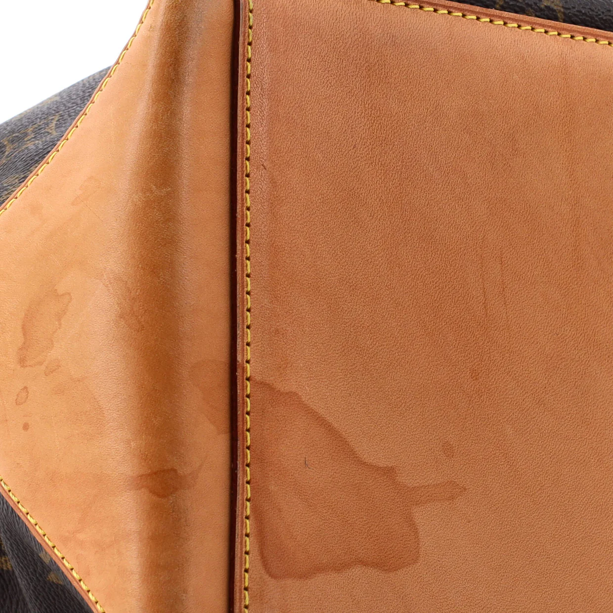 Cabas Mezzo Monogram Canvas - Deep Luxury