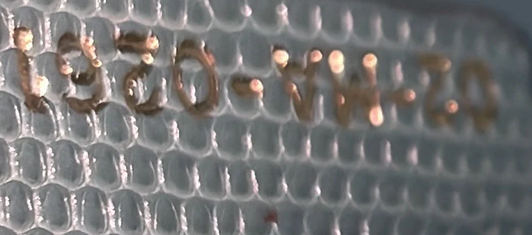 Lady Dior Bag Lizard Micro - Deep Luxury