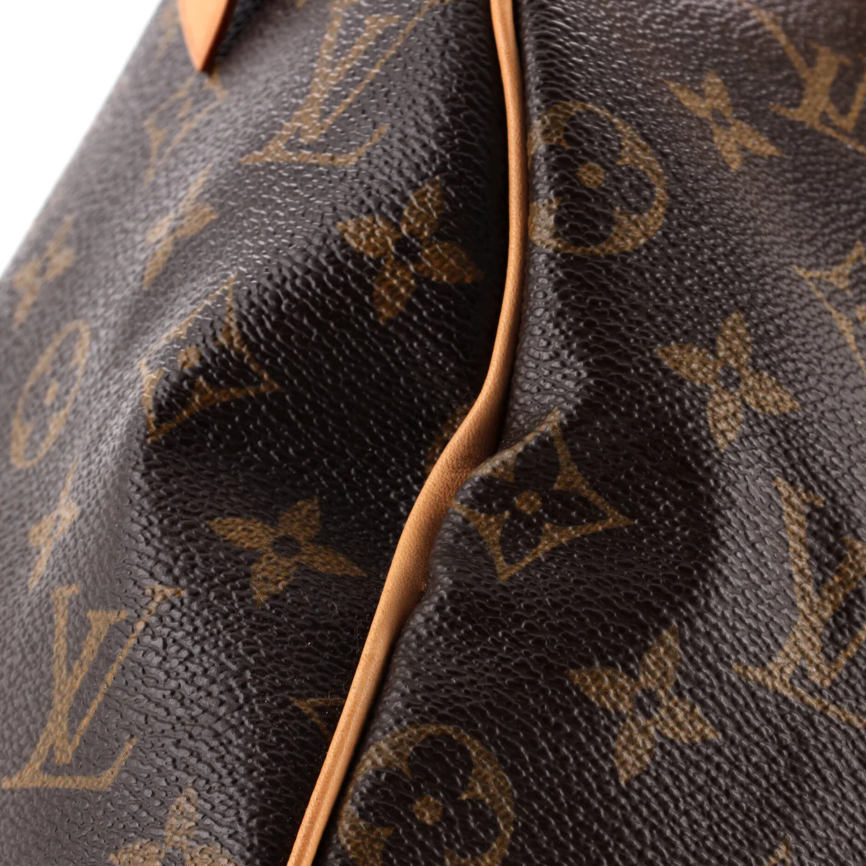 Speedy Handbag Monogram Canvas 25 - Deep Luxury