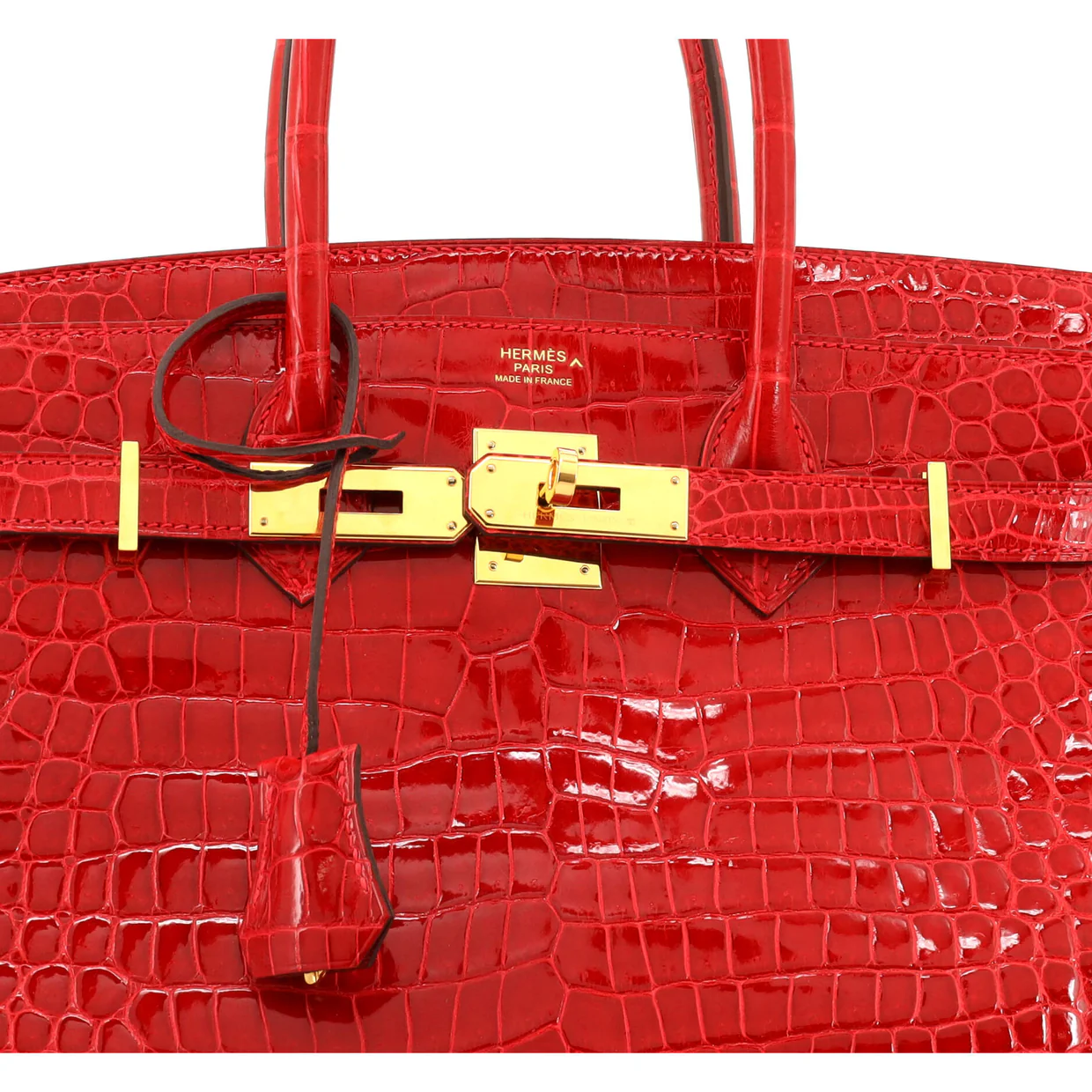 Birkin Handbag Braise Shiny Porosus Crocodile with Gold Hardware 30 - Deep Luxury