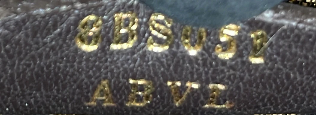 Sunshine Shopper Tote Leather Mini - Deep Luxury