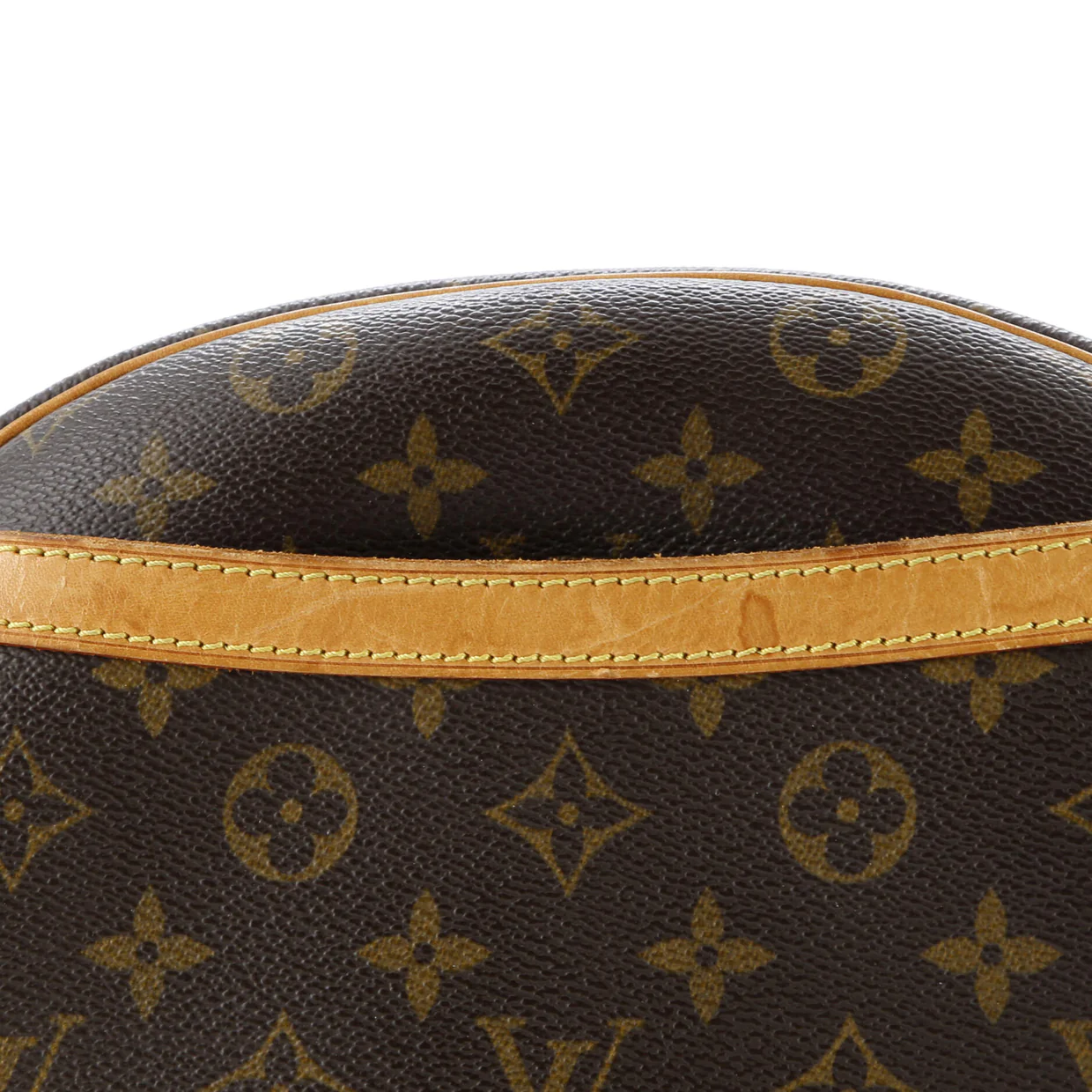 Blois Handbag Monogram Canvas - Deep Luxury