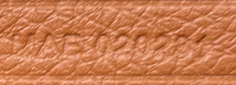 Saint Louis Tote Coated Canvas PM - Deep Luxury