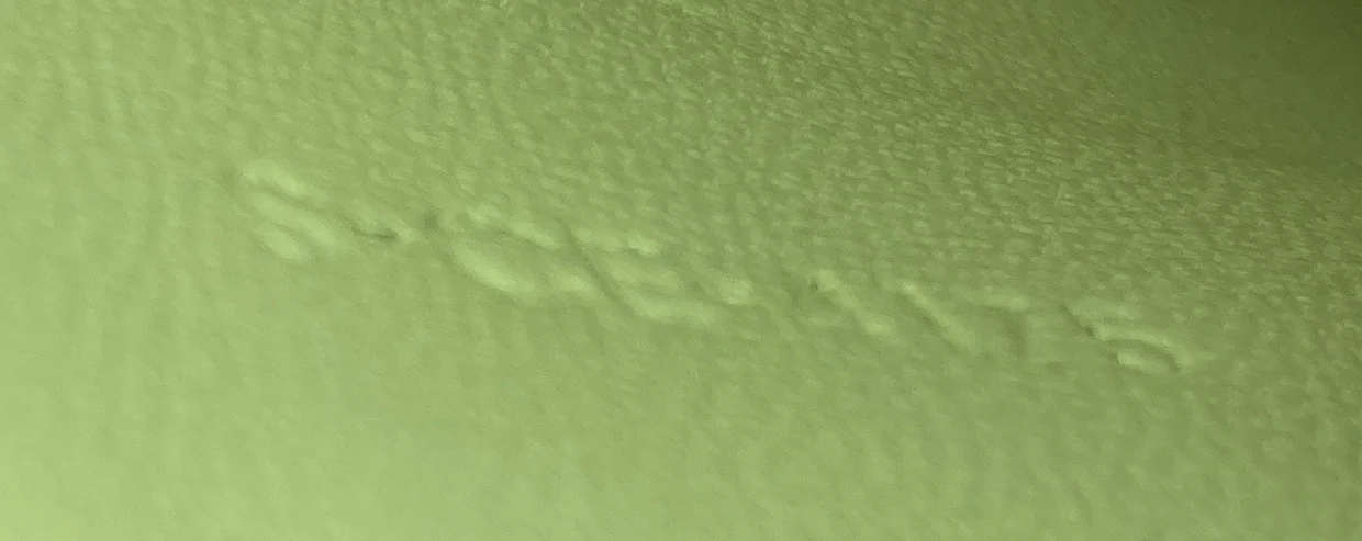 Classic Box Bag Grainy Leather Medium - Deep Luxury