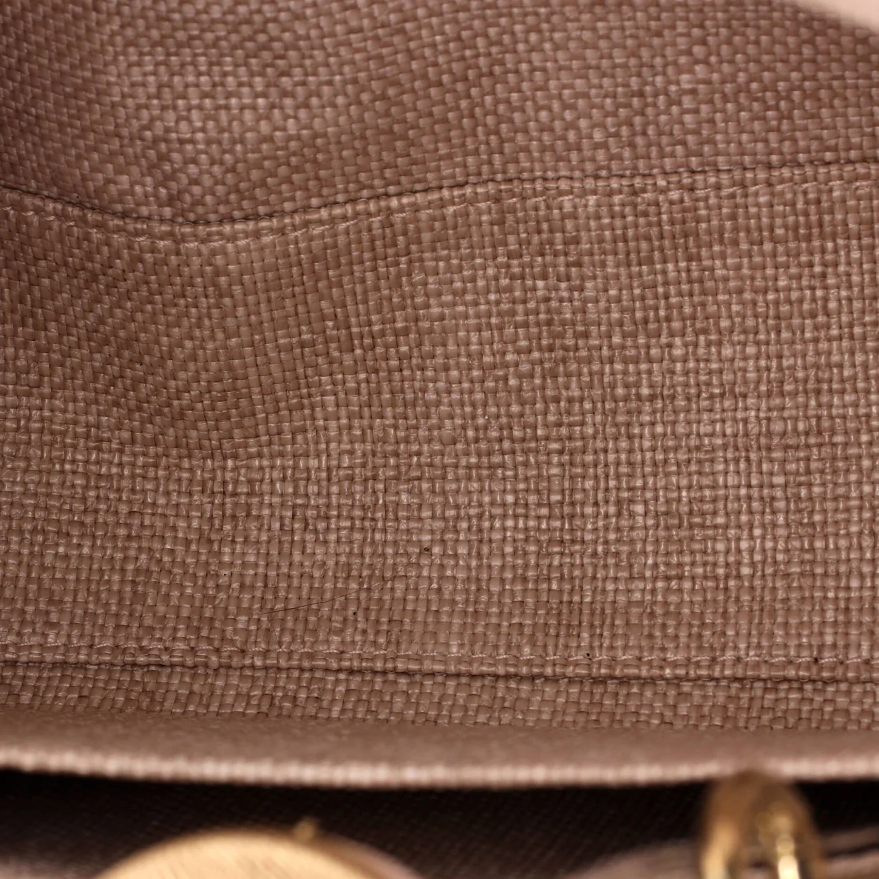 Lady D-Lite Bag Cannage Embroidered Raffia Medium - Deep Luxury