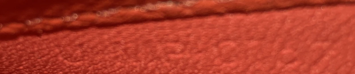 Trotteur Crossbody Bag Grainy Leather Small - Deep Luxury