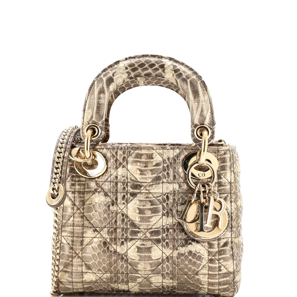 Lady Dior Bag Python Mini - Deep Luxury
