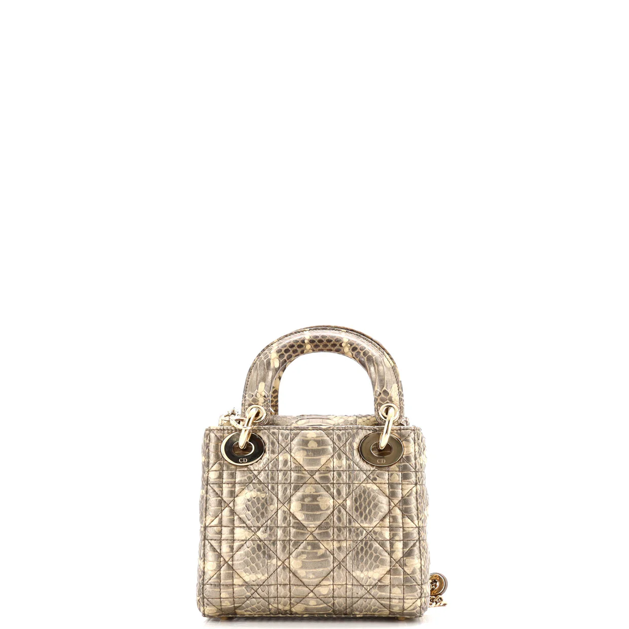 Lady Dior Chain Bag Python Mini - Deep Luxury