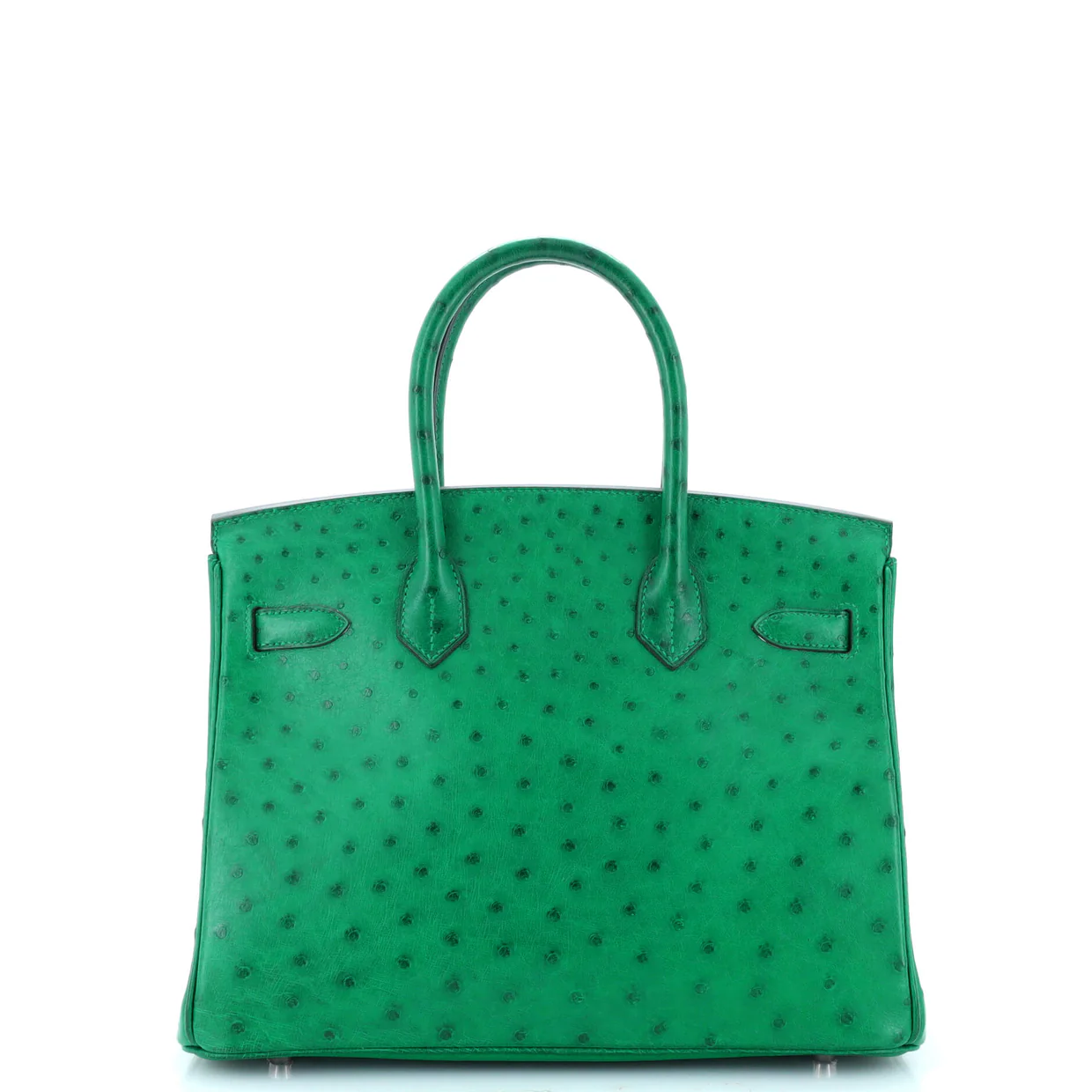 Birkin Handbag Vert Vertigo Ostrich with Palladium Hardware 30 - Deep Luxury