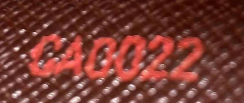 Sarah Wallet Damier - Deep Luxury