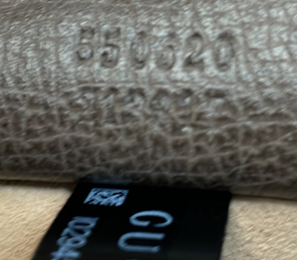 Ophidia Bucket Bag GG Coated Canvas Mini - Deep Luxury