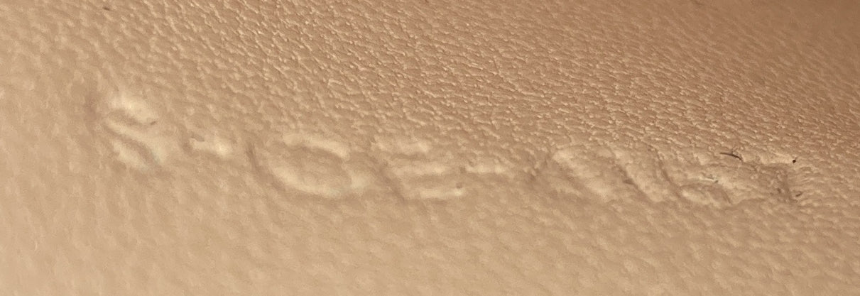 Classic Box Bag Lizard Medium - Deep Luxury