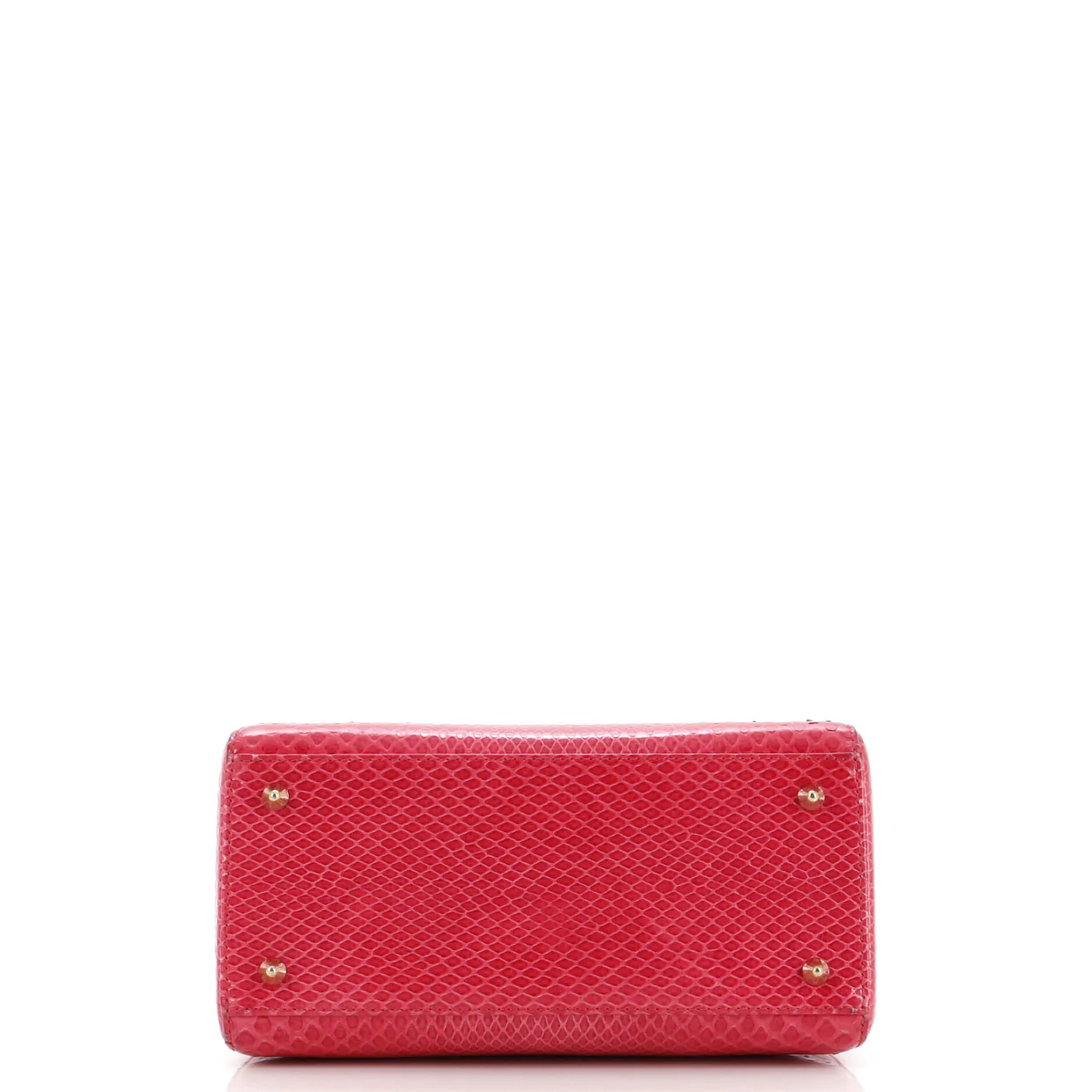 Lady Dior Bag Python Medium - Deep Luxury