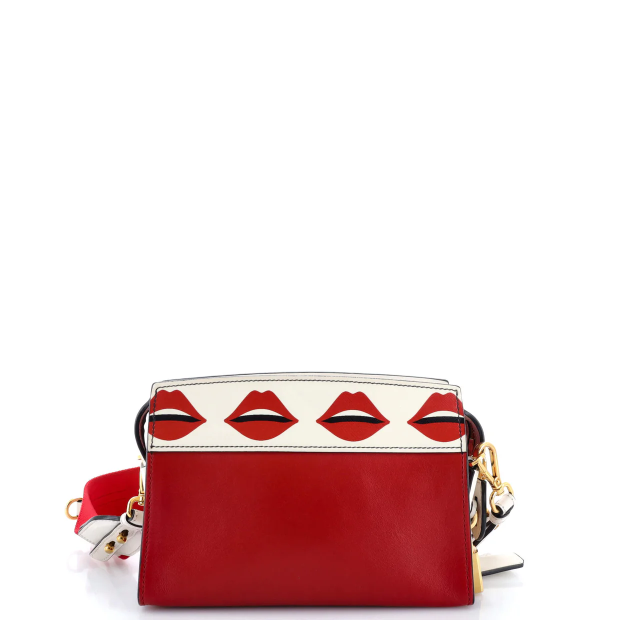 Esplanade Crossbody Bag Printed Saffiano and City Calf Small - Deep Luxury