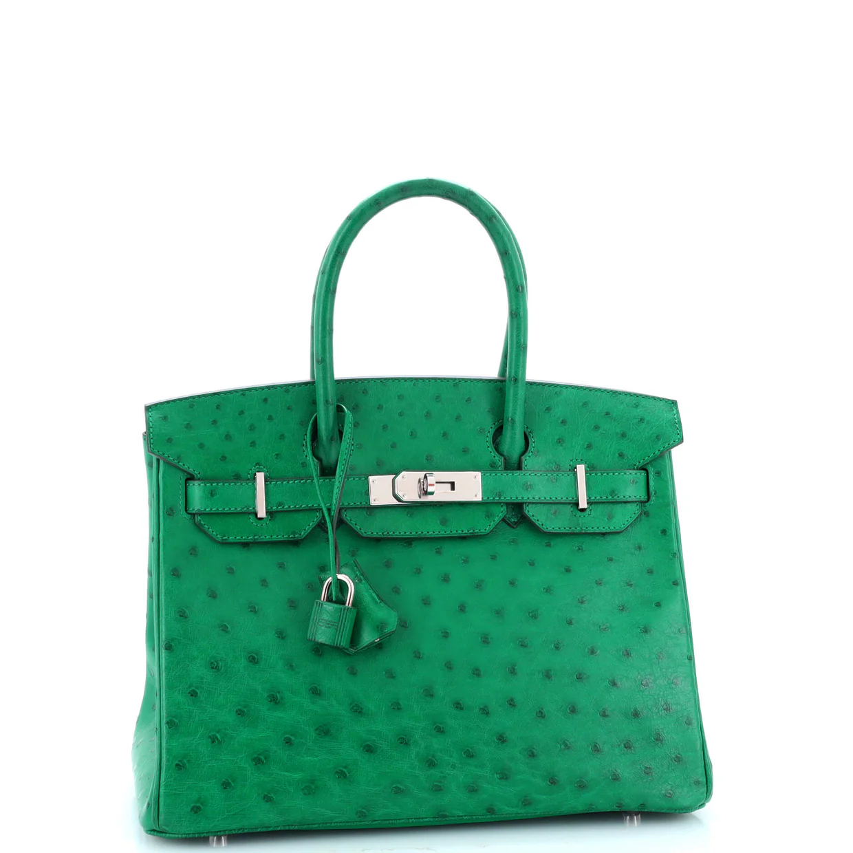 Birkin Handbag Vert Vertigo Ostrich with Palladium Hardware 30 - Deep Luxury