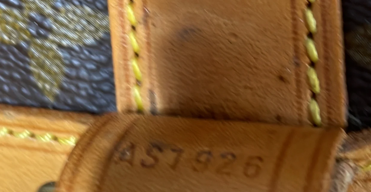 Randonnee Backpack Monogram Canvas PM - Deep Luxury