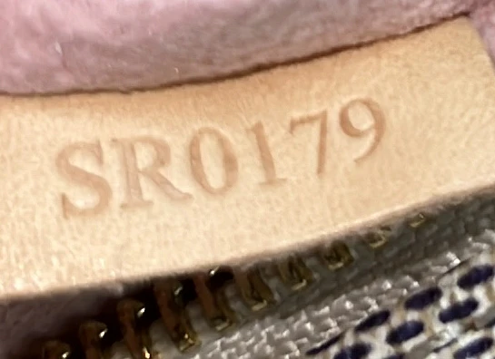 Sperone Backpack Damier BB - Deep Luxury