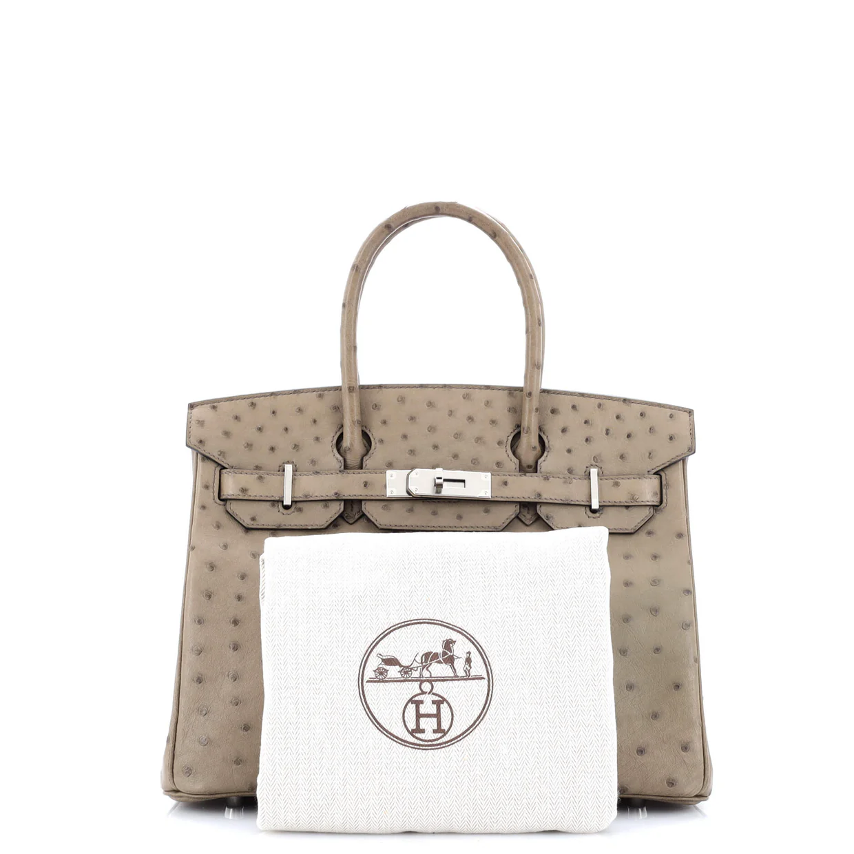 Birkin Handbag Mousse Ostrich with Palladium Hardware 30 - Deep Luxury