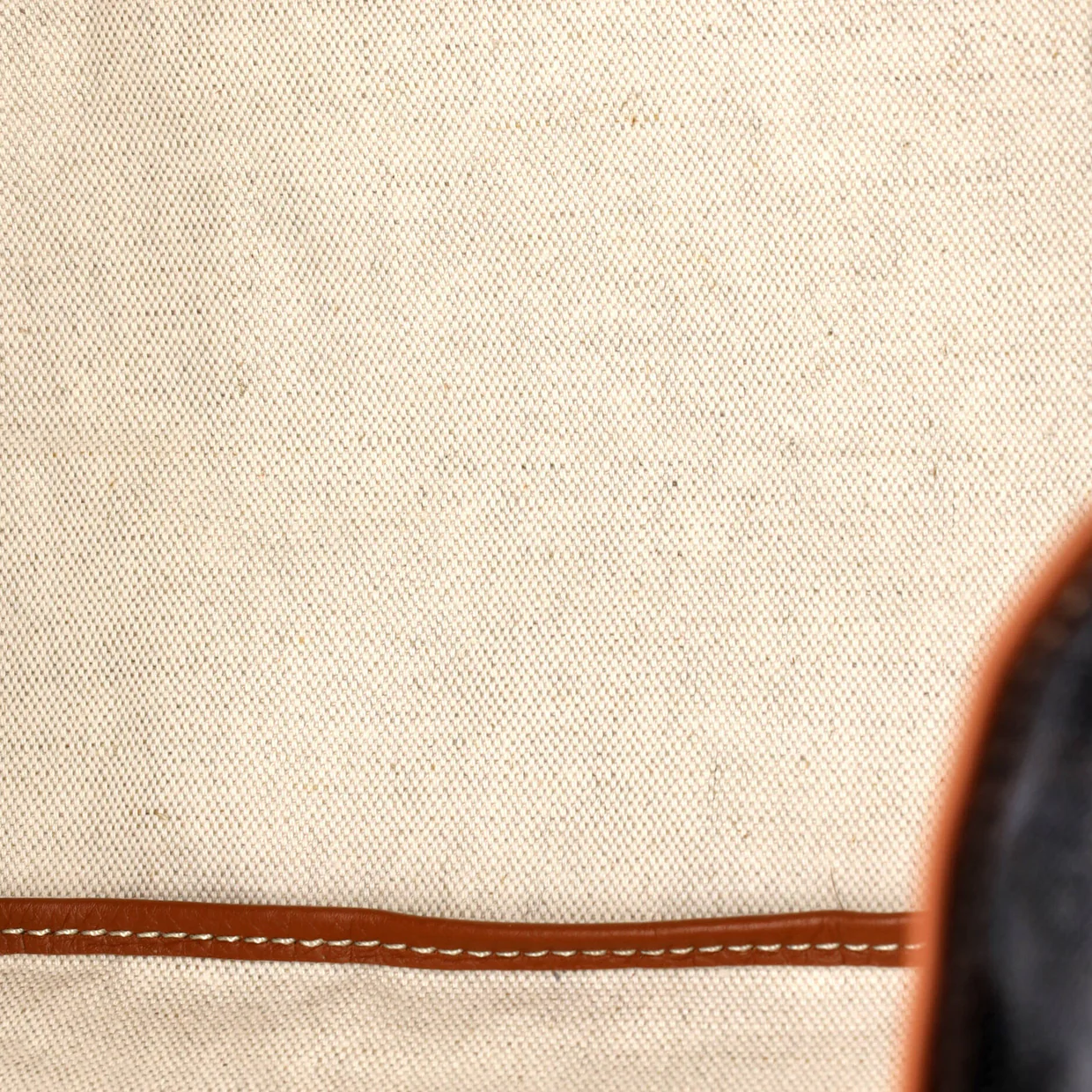 Saint Louis Tote Coated Canvas PM - Deep Luxury