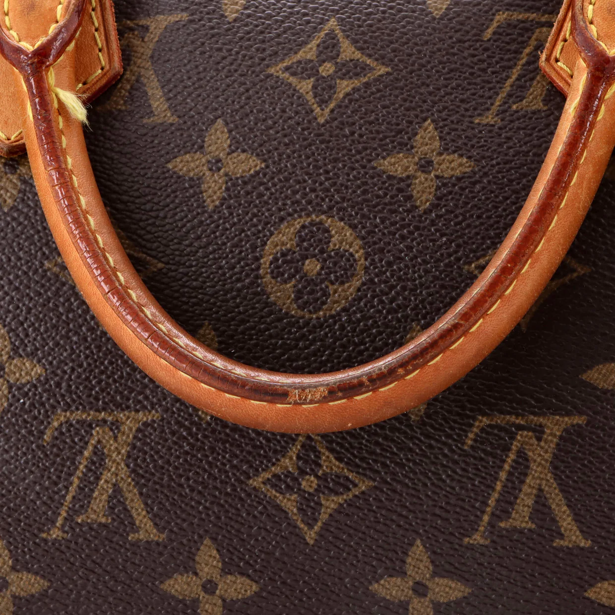 Speedy Handbag Monogram Canvas 30 - Deep Luxury