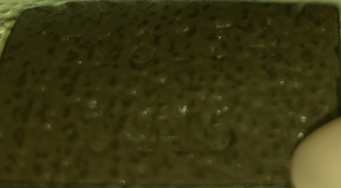 Blondie Flap Pocket Belt bag GG Coated Canvas - Deep Luxury