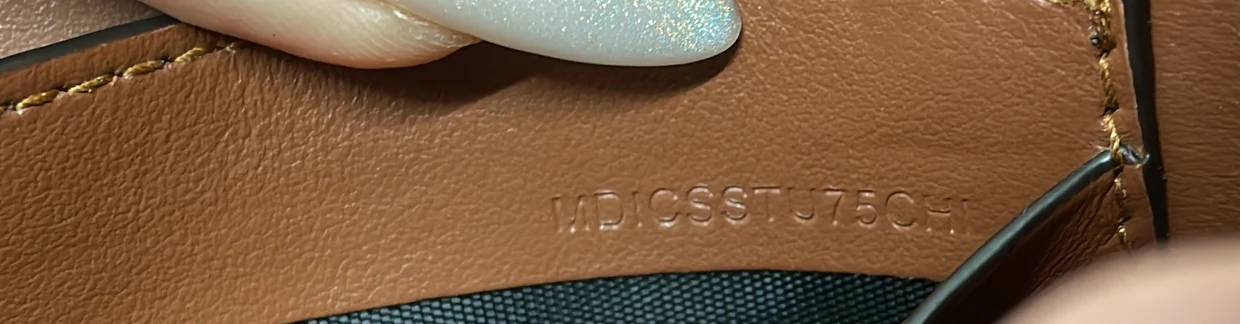 Hannah Wallet on Strap Icon Stripe E-Canvas - Deep Luxury